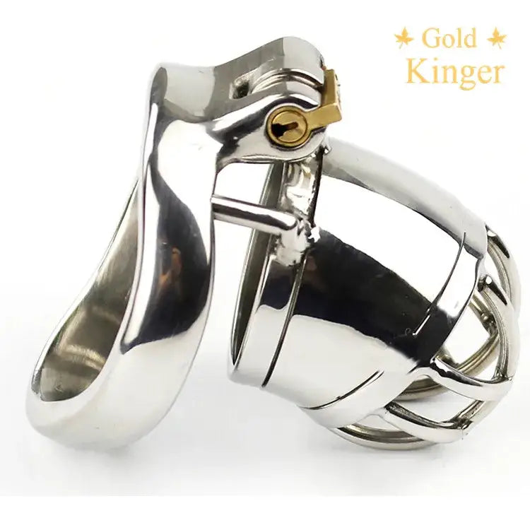 Chastity toy chaste bird steampunk stainless steel cock