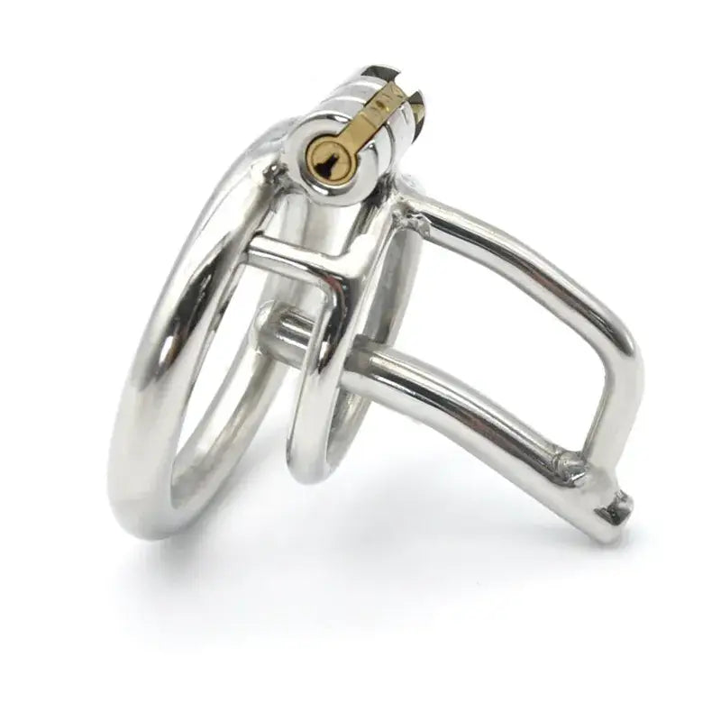 Chastity toy chaste bird stainless steel cum-thru penis