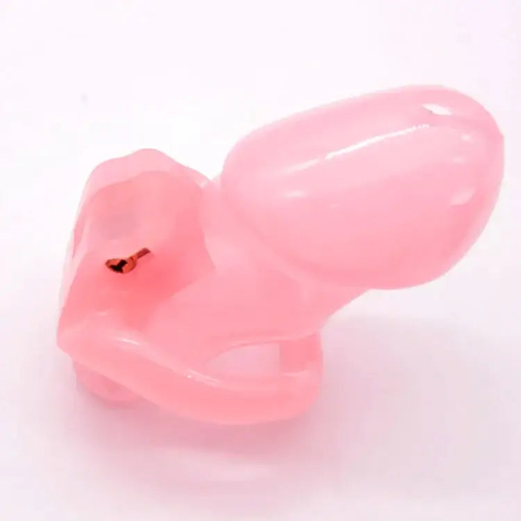 Chastity toy chaste bird resin male device (4 colors 4