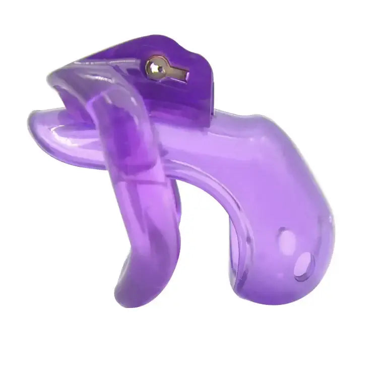 Chastity toy chaste bird resin male device (4 colors 4